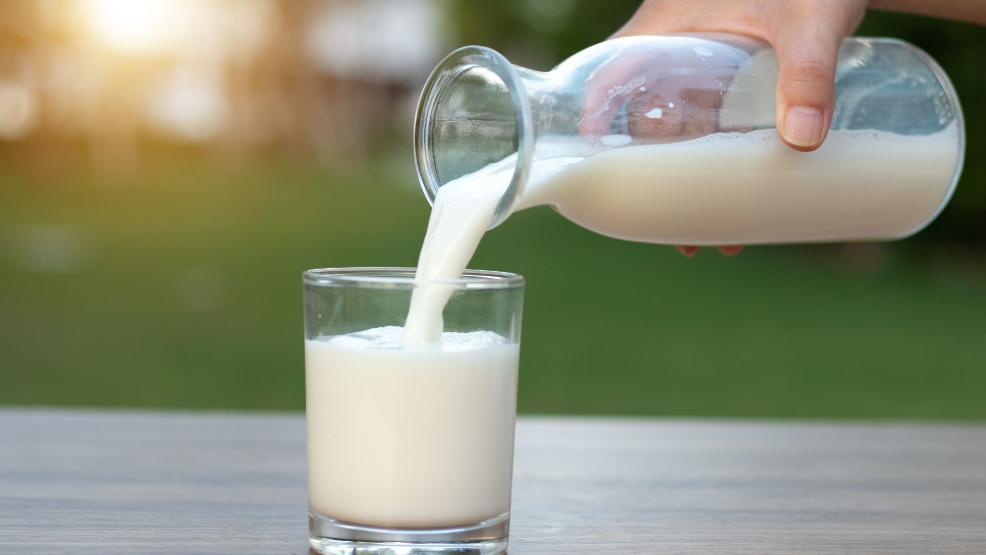 LECHE FRESCA