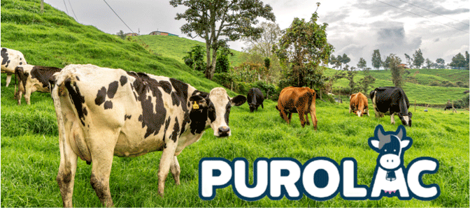 PUROLAC-ORIGEN